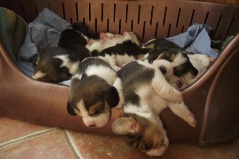 120331_mksz_cacgyerekek_012.jpg 120331_mksz_cacgyerekek_012.jpg