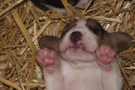 120331_mksz_cacgyerekek_032.jpg 120331_mksz_cacgyerekek_032.jpg