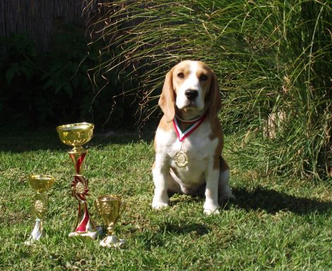 2011_aug24_arke_ul.jpg 2011_aug24_arke_ul.jpg