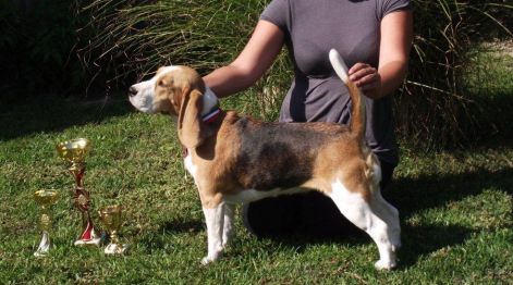 2011_aug24arke_allo.jpg 2011_aug24arke_allo.jpg