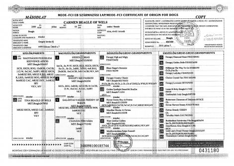 carmen_tkv_i.jpg carmen_tkv_i.jpg