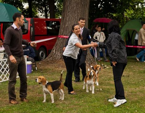 carmencacib2.jpg carmencacib2.jpg