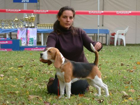 MOE dunaujvaros_cac_2010_10_24_037.jpg