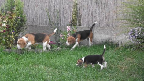 egyutt.jpg egyutt.jpg