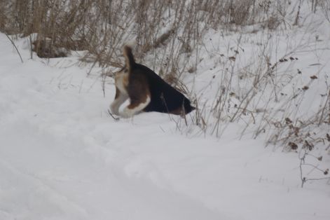 gini_es_a_havas_godor_ii.jpg gini_es_a_havas_godor_ii.jpg