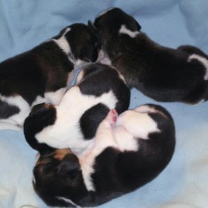 huawei_3391.jpg huawei_3391.jpg