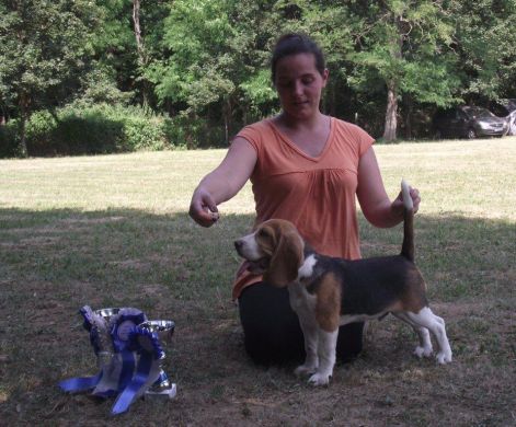 kaposvar_cac_ashton_resbabybis.jpg kaposvar_cac_ashton_resbabybis.jpg