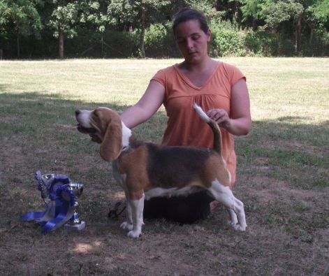 kaposvar_cac_moe.jpg kaposvar_cac_moe.jpg