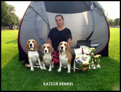 katzor_kennel-2012.jpg katzor_kennel-2012.jpg