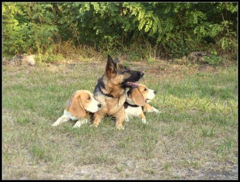 lanyok.jpg lanyok.jpg