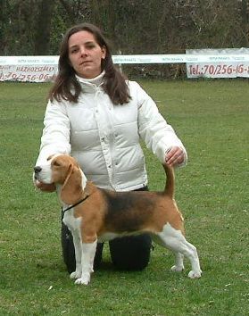 mksz_cac_2011.03.27._moe.jpg mksz_cac_2011.03.27._moe.jpg