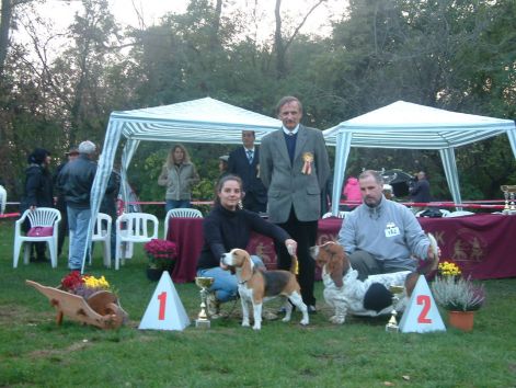 mksz_cac_derby_2012.11.03_mojci.jpg mksz_cac_derby_2012.11.03_mojci.jpg