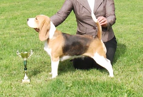 mojci_tkok_cac110702.jpg mojci_tkok_cac110702.jpg