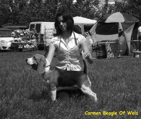 omse-evivel.jpg omse-evivel.jpg