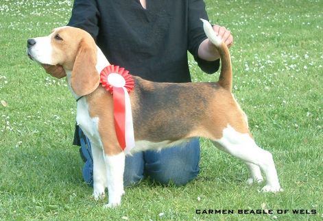 otk_cac_-felirattal.jpg otk_cac_-felirattal.jpg