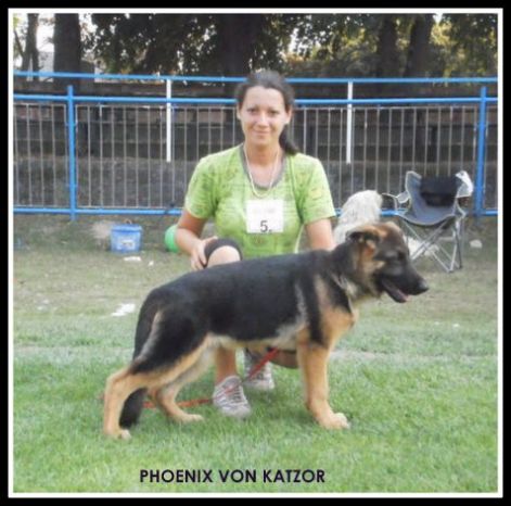 p9020778.jpg p9020778.jpg