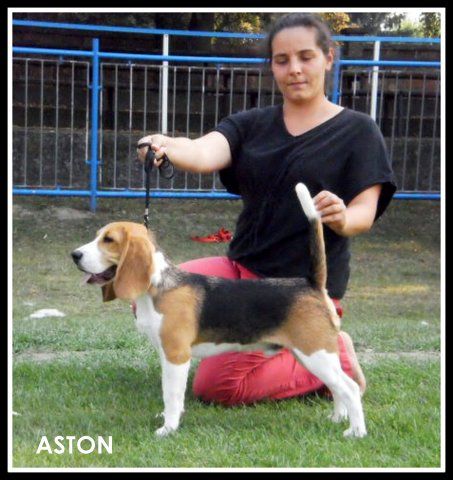 p9020787.jpg p9020787.jpg