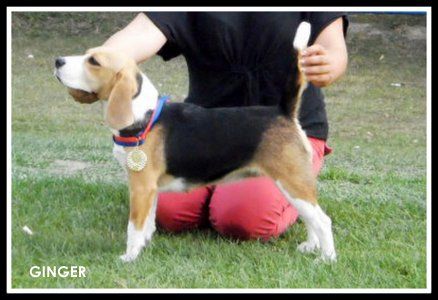 p9020791.jpg p9020791.jpg