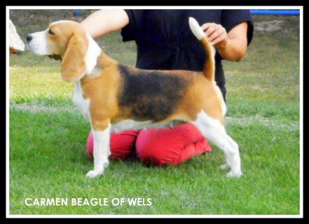 p9020794.jpg p9020794.jpg