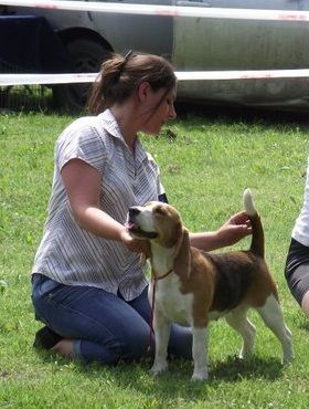 szerbia-mol.jpg szerbia-mol.jpg