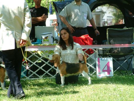 szfvar_cacib_11.05.28-29._044.jpg szfvar_cacib_11.05.28-29._044.jpg