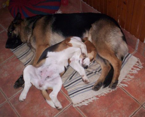 szieszta-poci.jpg szieszta-poci.jpg