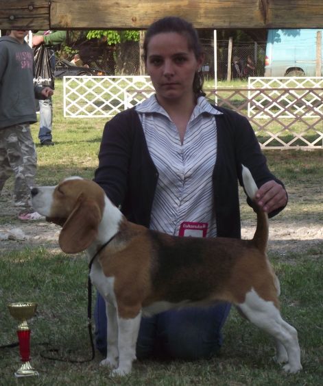 szilvas_s011_095.jpg szilvas_s011_095.jpg